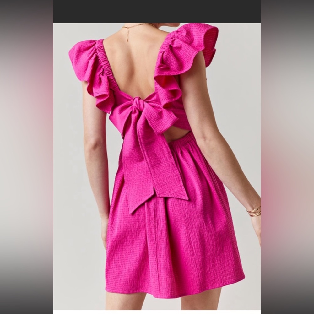Franchescas collection small pink dress
